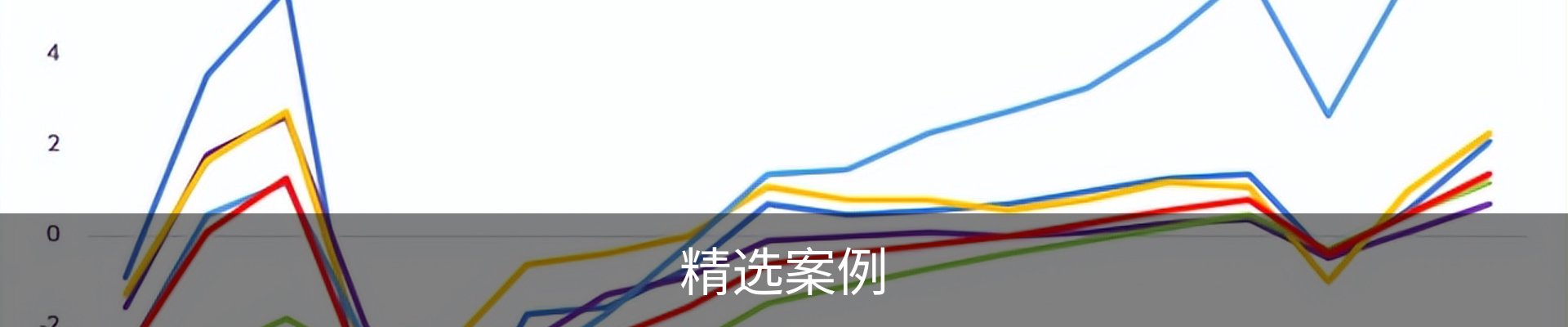 精选案例